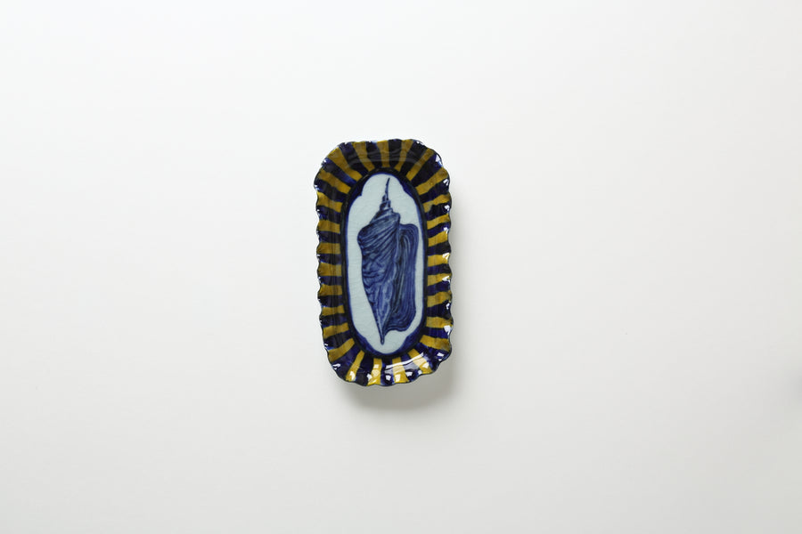 Ariel Clute Shell plate
