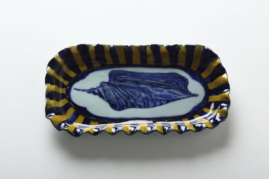 Ariel Clute Shell plate