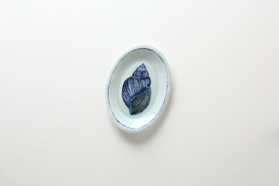 Ariel Clute Shell Plate