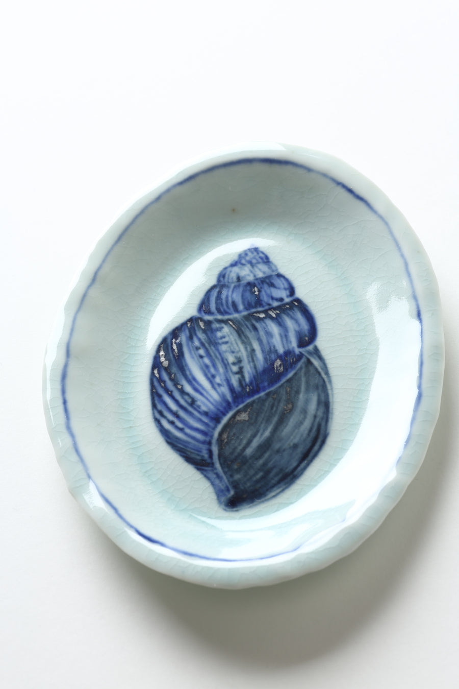 Ariel Clute Shell Plate 
