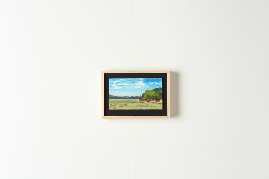 David San Rafael Painting