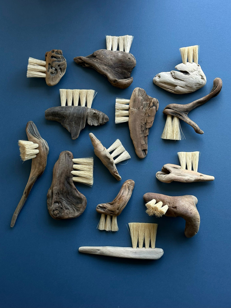 Erin Irber Driftwood brush