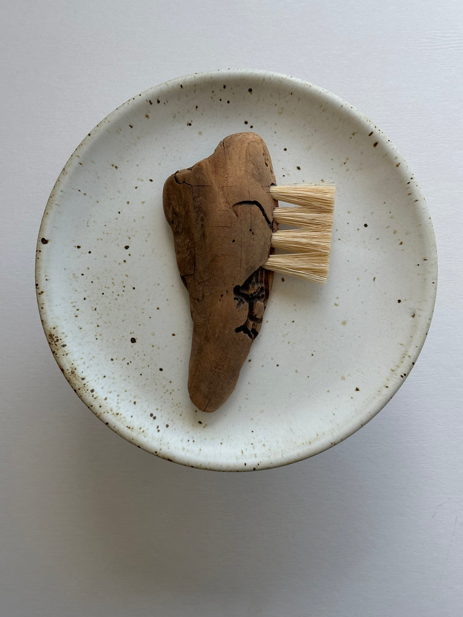 Erin Irber Driftwood brush
