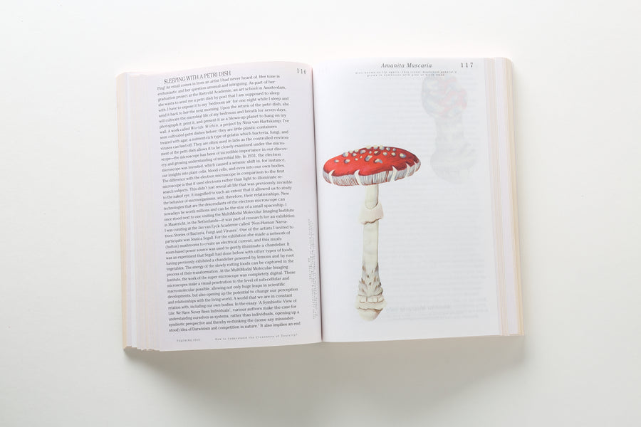 Let’s become fungal! inside 3