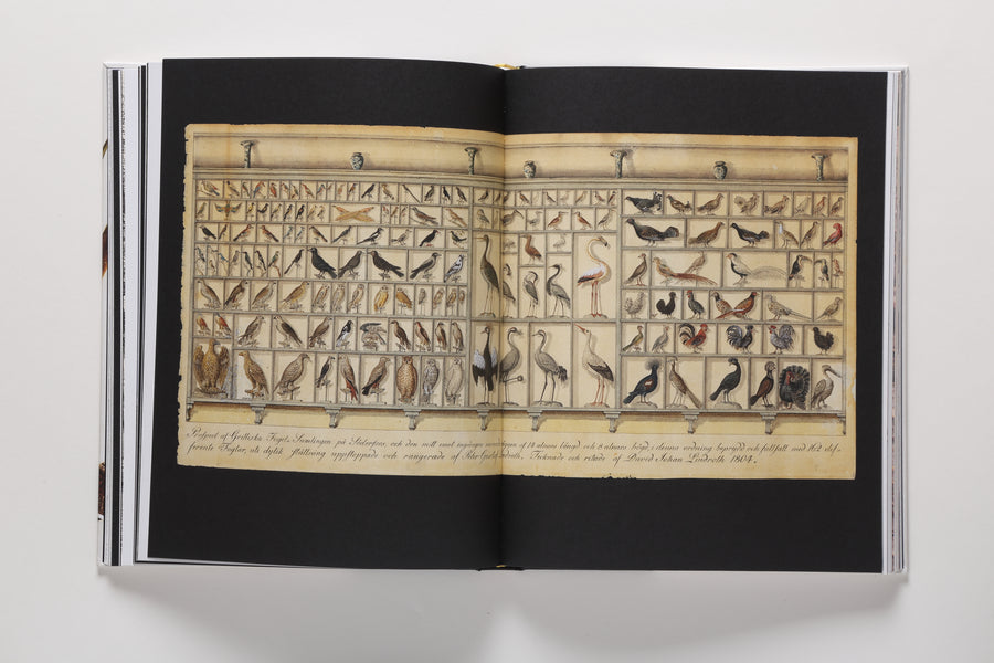 Collecting Nature: The History of the Herbarium and Natural Specimens 3