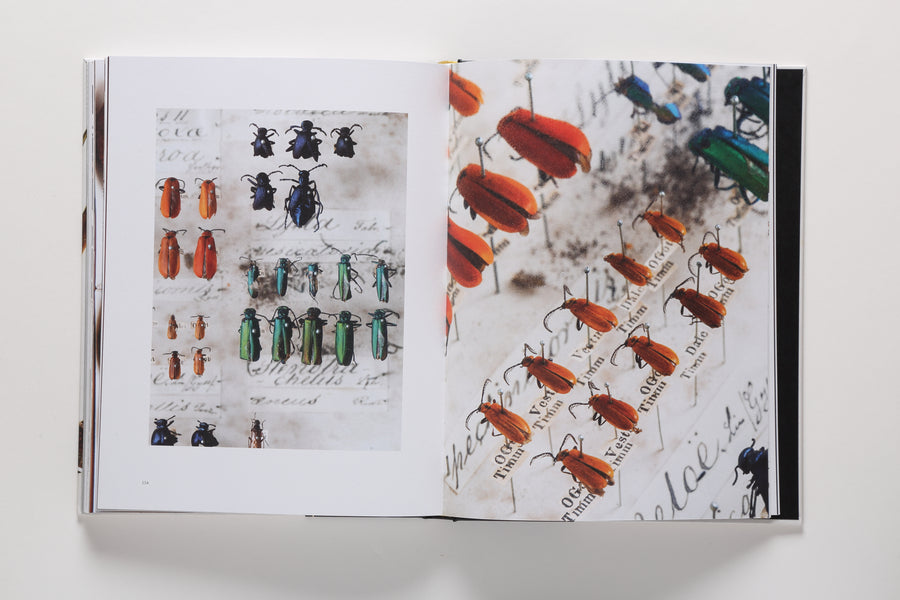 Collecting Nature: The History of the Herbarium and Natural Specimens 5
