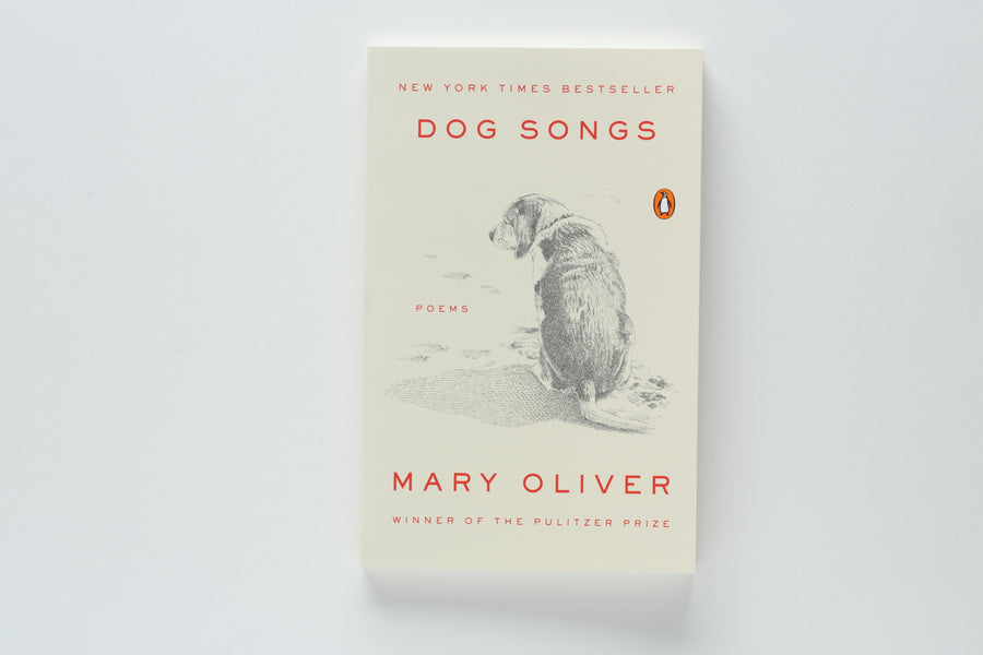 Mary Oliver Collection: A Thousand Mornings, Dog Songs, Blue Horses, and Felicity