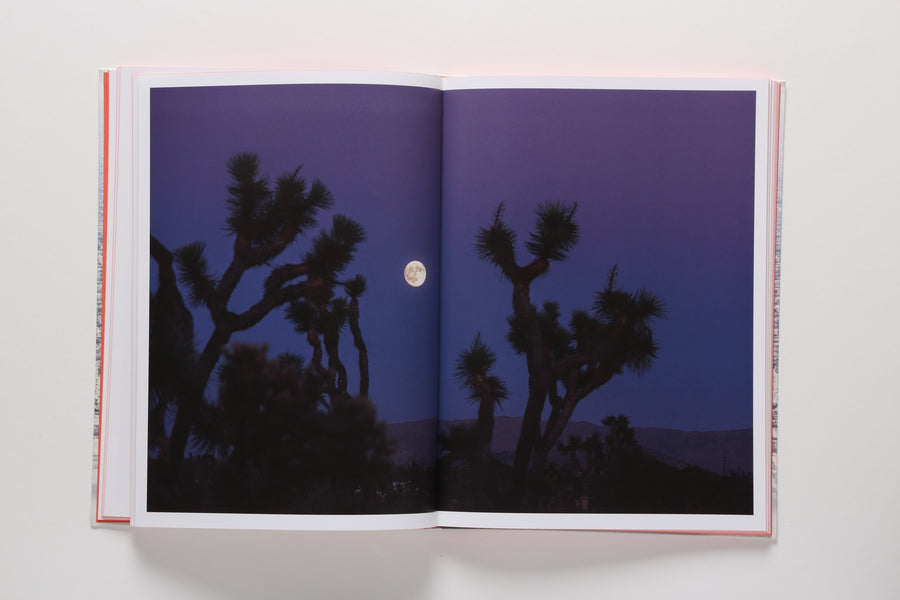 Nick Meek: Unreliable Memories 2